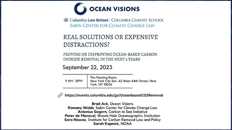 Climate Week NYC 2023: Real Solutions or