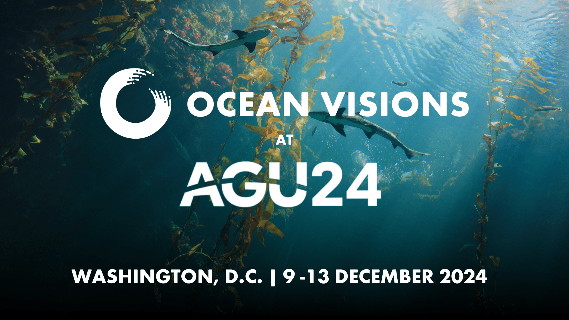 Ocean Visions at AGU24